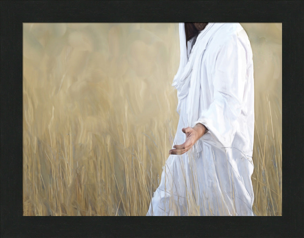 The Gatherer