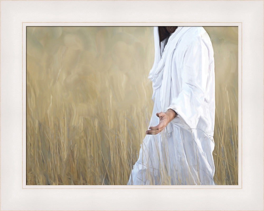 The Gatherer