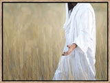 The Gatherer