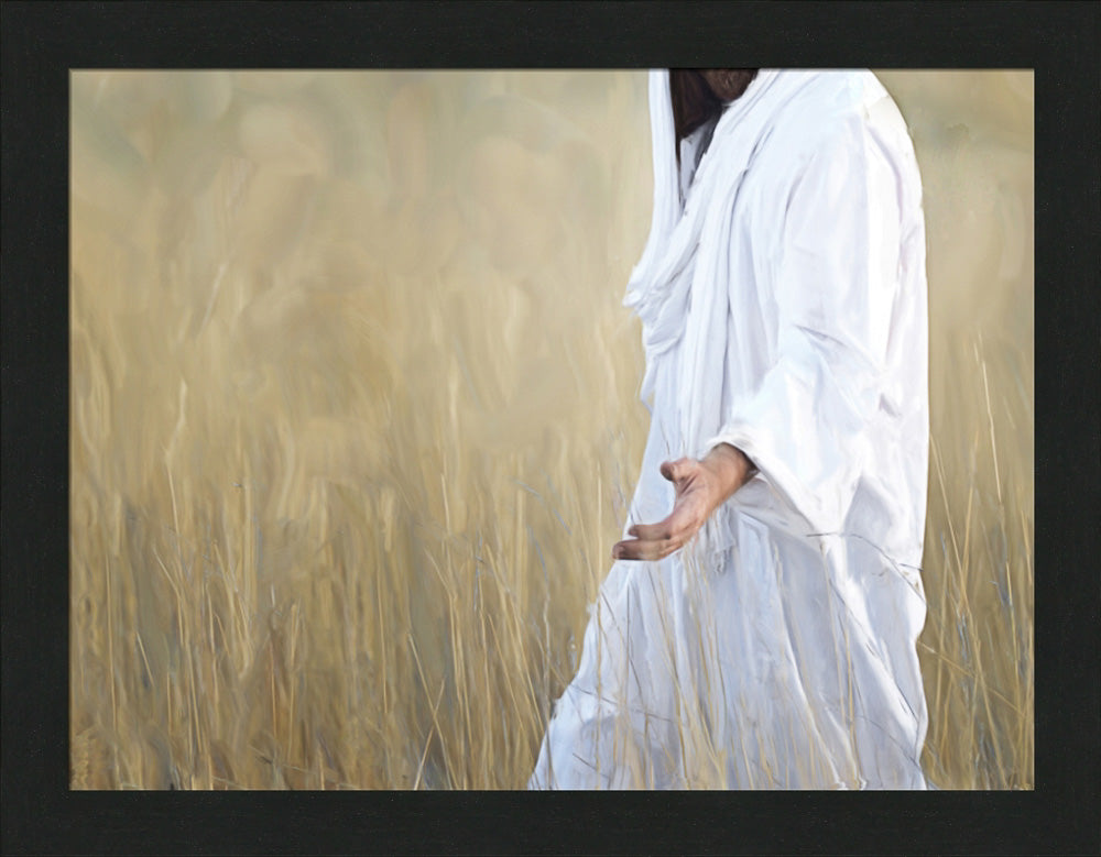 The Gatherer