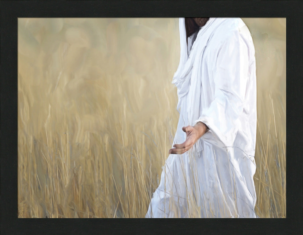 The Gatherer