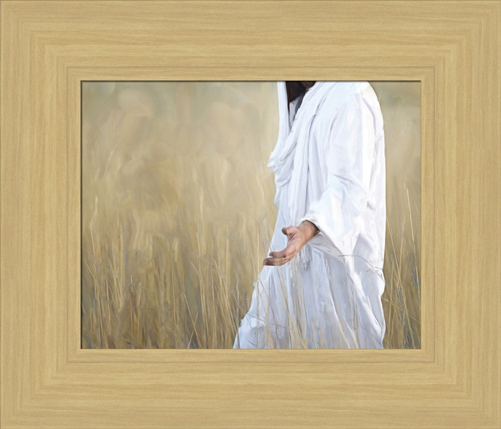 The Gatherer