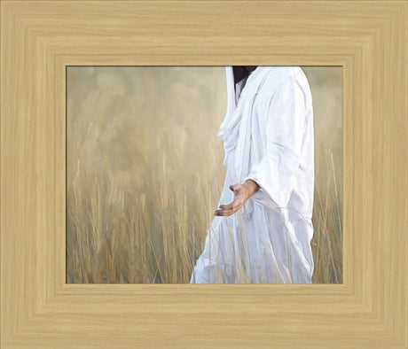 The Gatherer