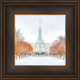 Mount Timpanogos Temple - First Snowstorm