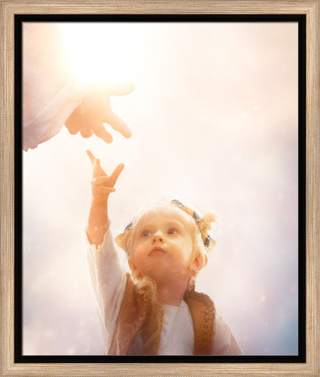 Heaven's Reach
