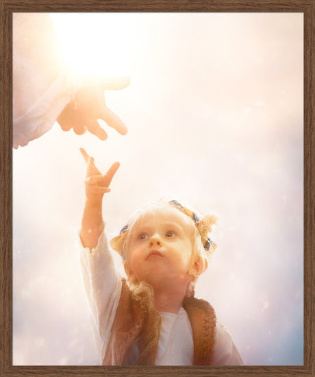Heaven's Reach