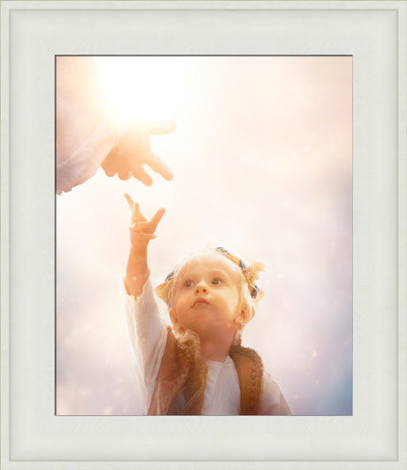 Heaven's Reach
