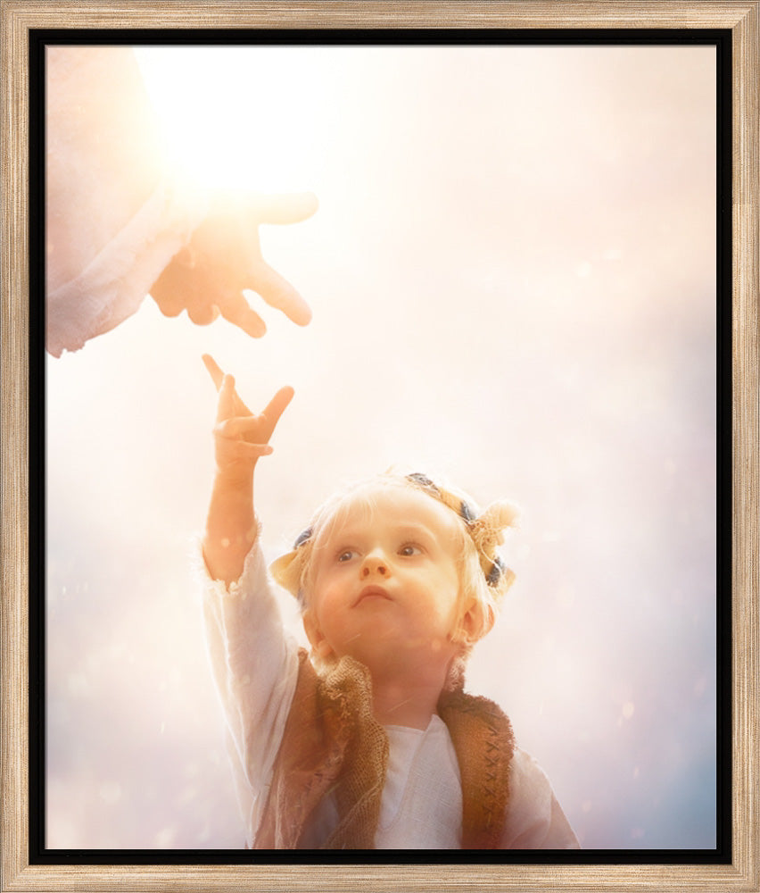 Heaven's Reach