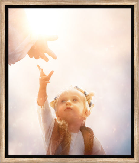 Heaven's Reach