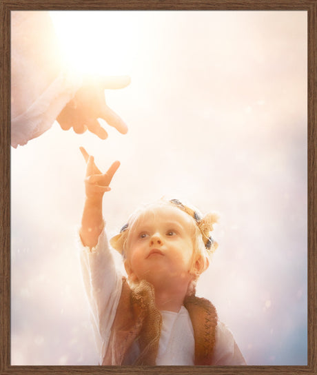 Heaven's Reach