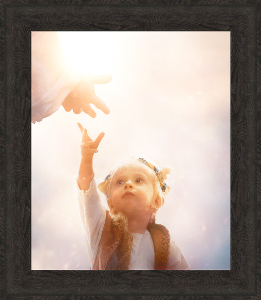 Heaven's Reach
