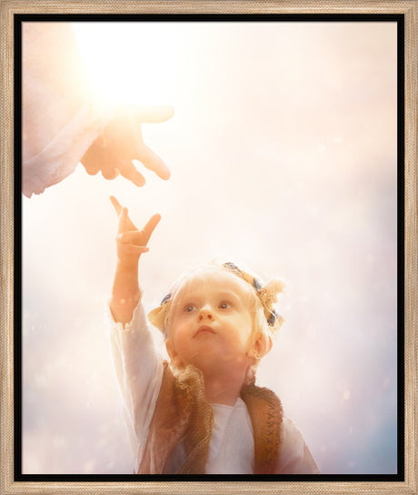 Heaven's Reach