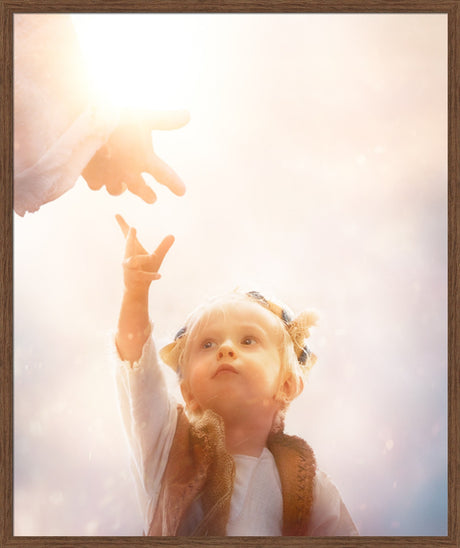 Heaven's Reach
