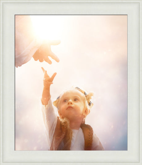 Heaven's Reach
