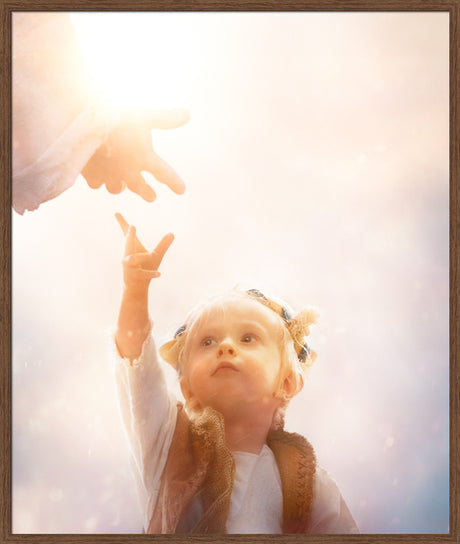 Heaven's Reach