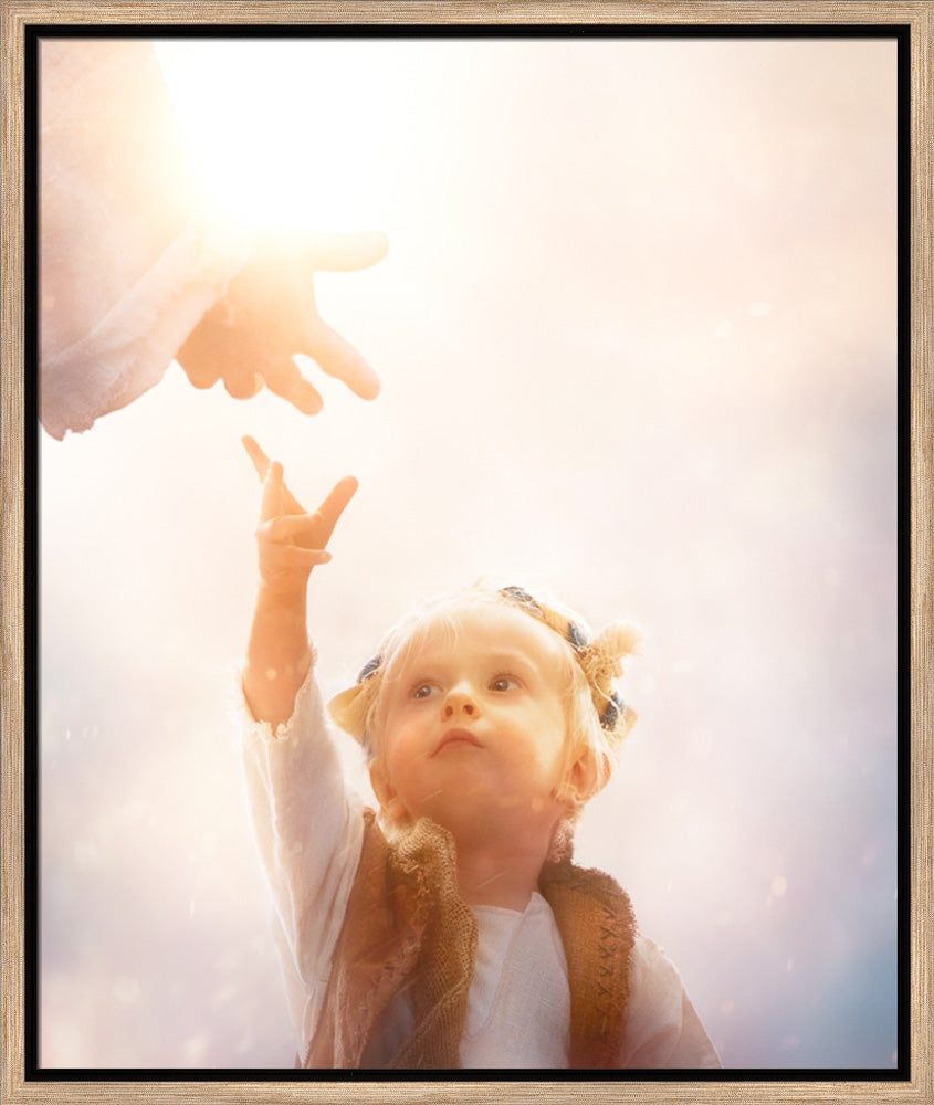 Heaven's Reach