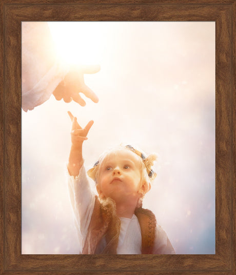 Heaven's Reach