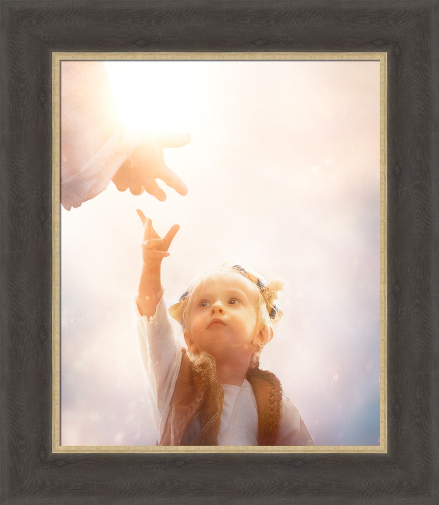 Heaven's Reach