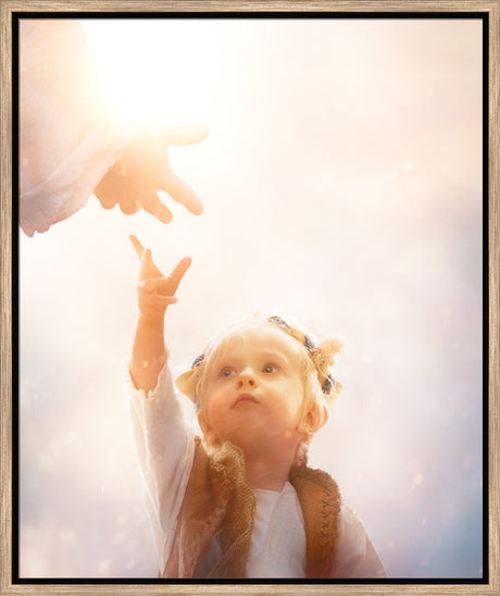 Heaven's Reach