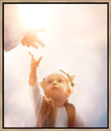 Heaven's Reach