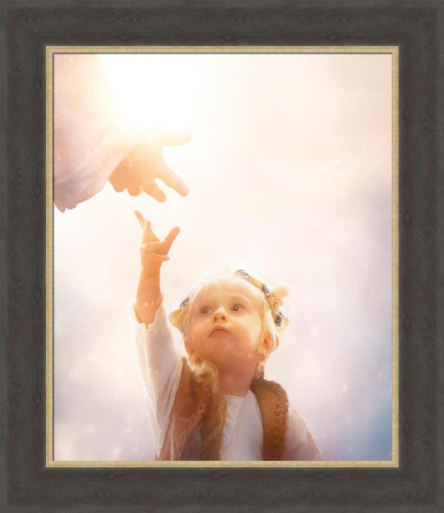 Heaven's Reach