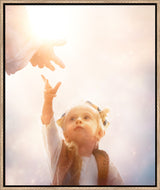 Heaven's Reach