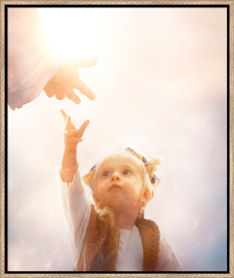 Heaven's Reach