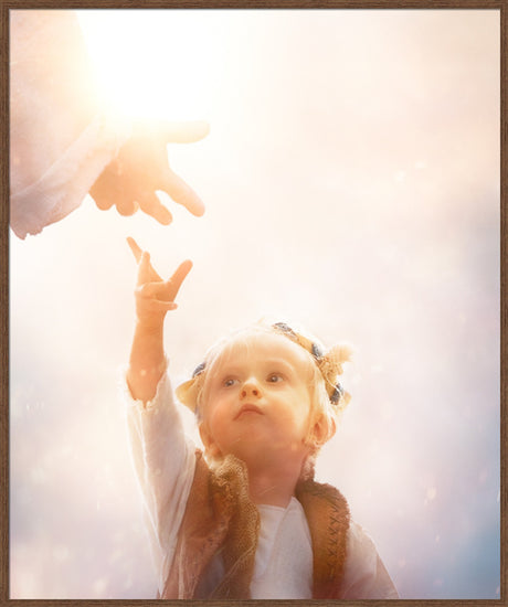 Heaven's Reach