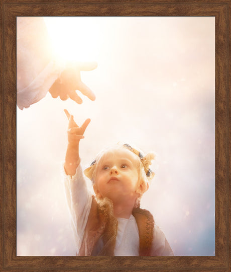 Heaven's Reach