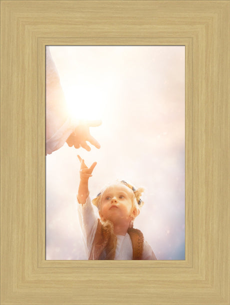 Heaven's Reach