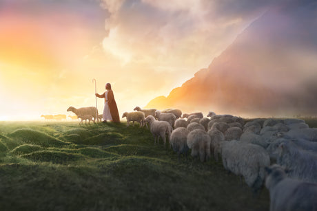 Greener Pastures