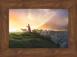 Greener Pastures