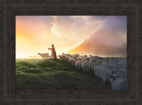 Greener Pastures