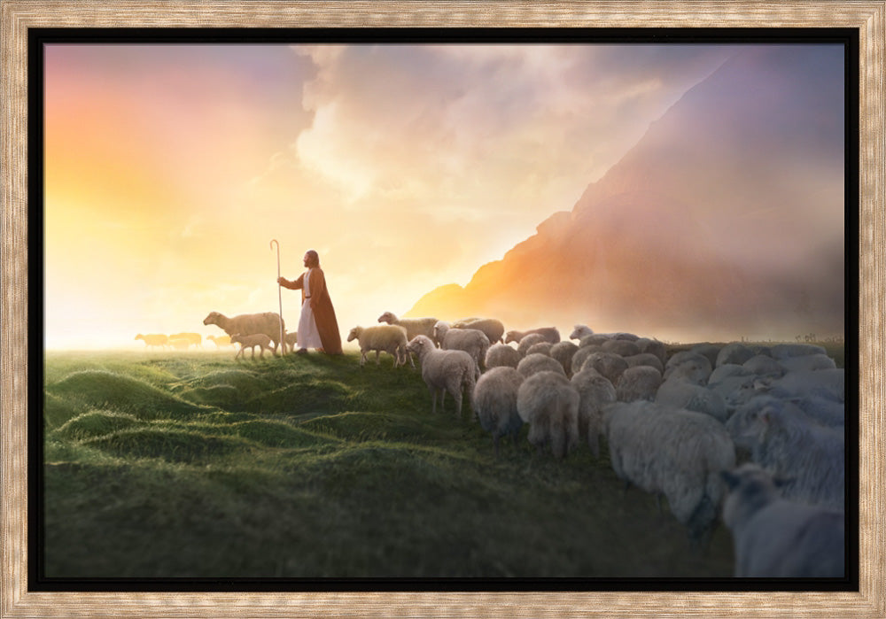 Greener Pastures