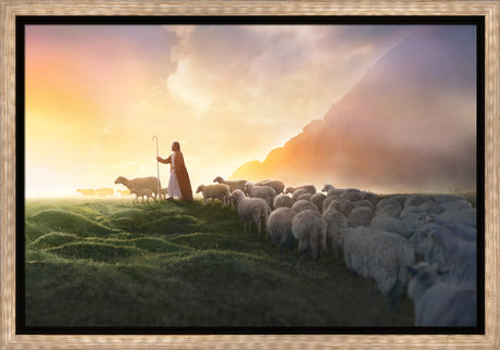 Greener Pastures