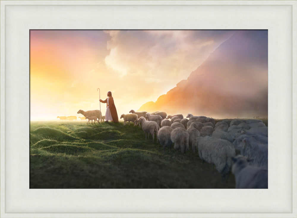 Greener Pastures
