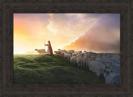 Greener Pastures