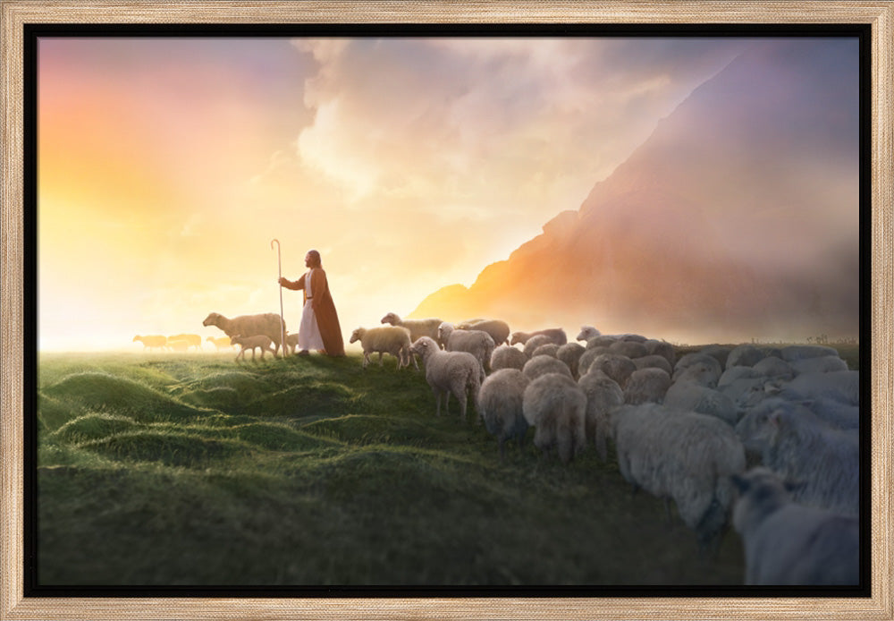 Greener Pastures
