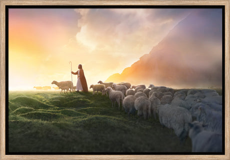Greener Pastures