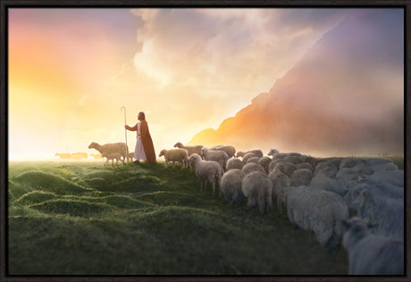 Greener Pastures