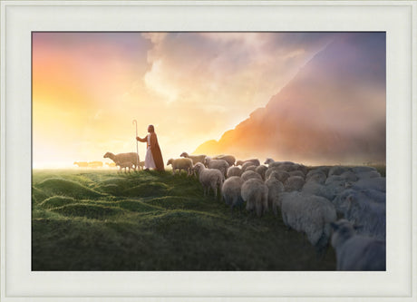 Greener Pastures