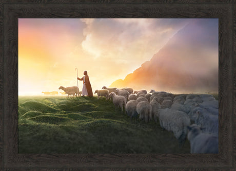 Greener Pastures