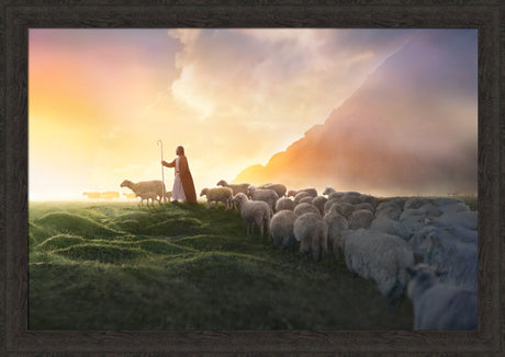 Greener Pastures