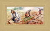The Sower