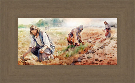The Sower
