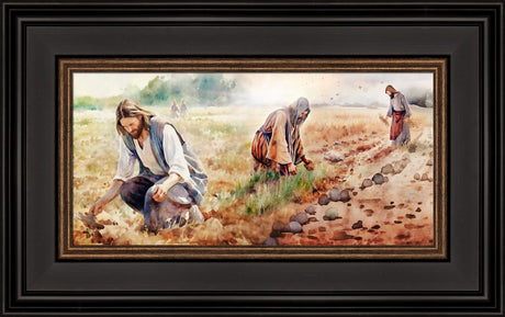 The Sower