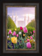 Washington DC Temple - Tulips
