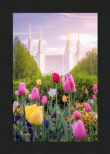 Washington DC Temple - Tulips
