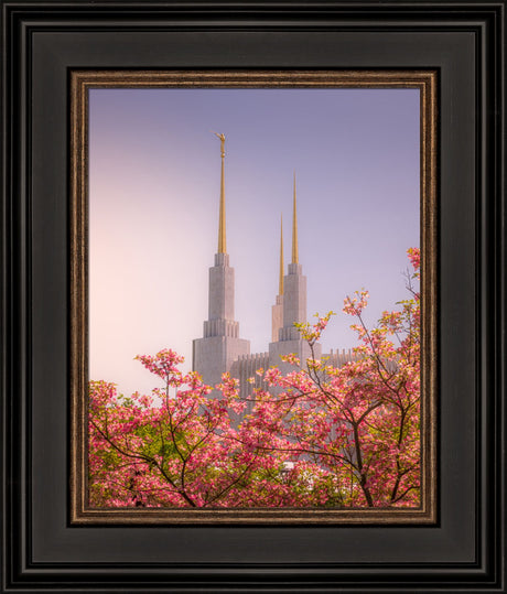 Washington DC Temple - Spires and Blooms