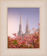 Washington DC Temple - Spires and Blooms